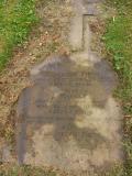image of grave number 480418